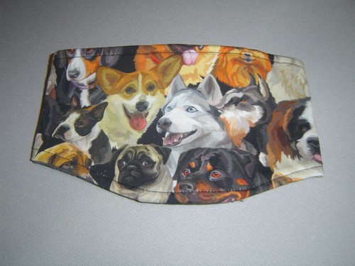 Hundeschutzhose