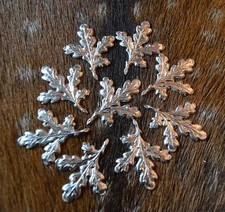 Eichenlaub Keiler Gewaff