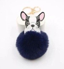 Französische Bulldogge