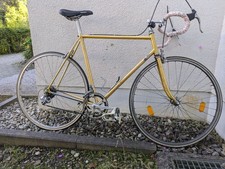 Vintage Rennrad, Gianni Motta Clone