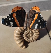 Sammlerfigur GOEBEL Germany