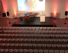 C. Bechstein Gradsaiter, Bj. 1867, Mod. VI-184, Palisander Schellack