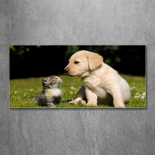 Glas bild wandbilder - glas-bild, auf