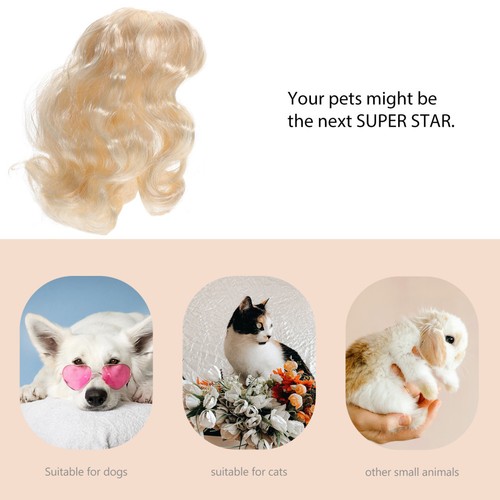 Hundefriseur zubehör - hundefriseur,