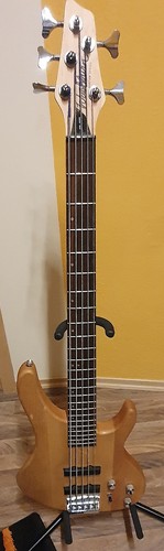 Washburn bass saiter - e-bass, 5
