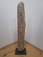 Treibholz mit