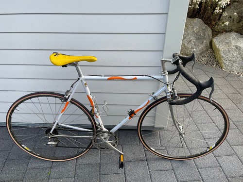 Gebrauchtes rennrad calnago - rennrad,