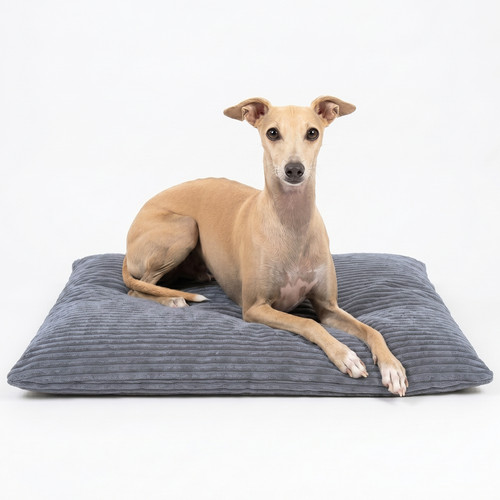Textil molly hundekissen - 4l,