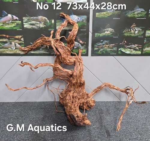 Azalee form aquarium holz - s-form, no
