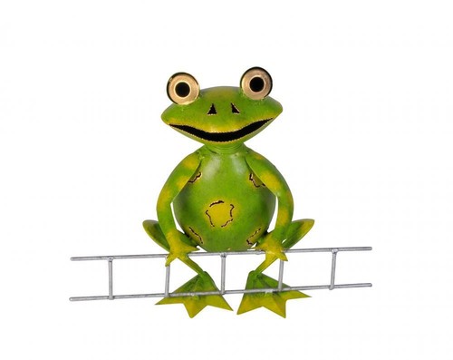 Frosch mit leiter sitzend - frosch,