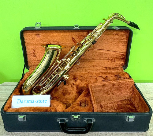 Yanagisawa 500 altsaxophon - yanagisawa,