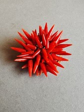 Metall Brosche Mit Paprikaschoten Formieger Korallen