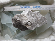 Gips, Ulexit, Niederellenbach