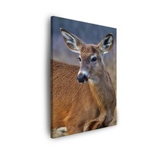 Leinwand-Bilder Wald Tiere Hirsche Rehe Größe 30x40-80x120 cm