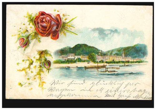 Blumen rose - blumen-ak,