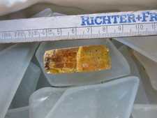 Kopal, Copal, junger Bernstein