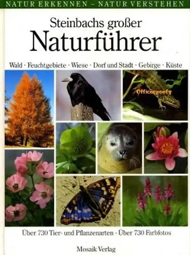 Steinbachs großer