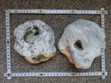 2 große Lochsteine, Hühnergötter, Feuersteine, Aquarium, Gartendeko, Ostseefund