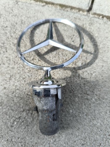 Mercedes stern - mercedes,