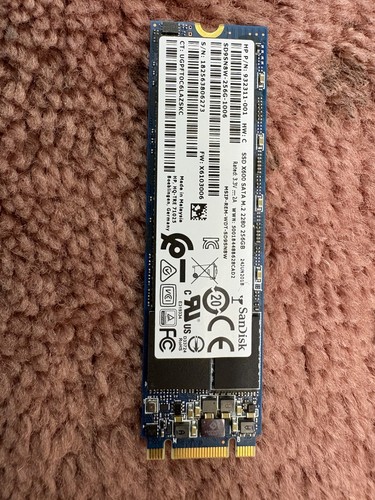 Sandisk x600 256gb 2280 - 256gb, m.2