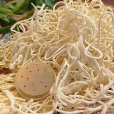 Matrize aus Bronze Engelshaar