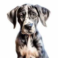 Wandtattoo Aufkleber Deutsche