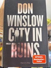 City in Ruins: Thriller |