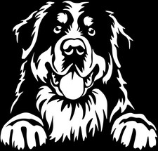 BERNER SENNENHUND Aufkleber -