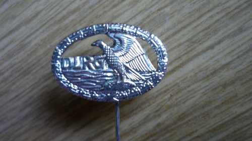 Anstecknadel dlrg silber - in,