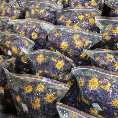 Blauer lotus 3kg ganze blüten - blauer,