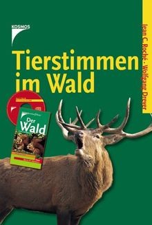 Tierstimmen wald von - im,