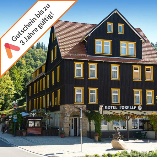 Kurzurlaub harz ferienhotel - im,