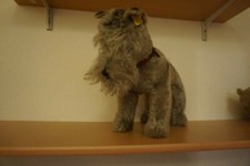 Steiffhund tessie - steiffhund,