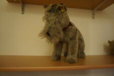 Steiffhund Tessie