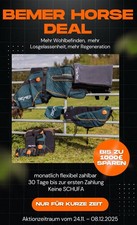 Bemer Horse Set Decke und