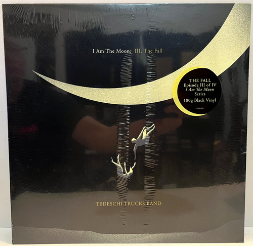 Tedeschi trucks band i - band, am