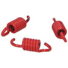 Kupplungsfedern Malossi MHR