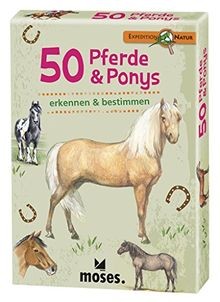 Pferde ponys entdecken - ,