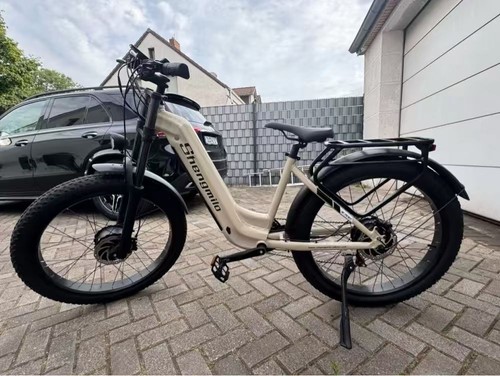 Dual motor 2000w - motor,