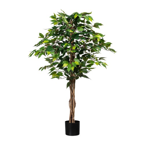 Kunstpflanze ficus benjamini - ficus,