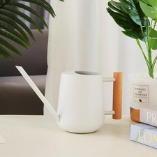 Edelstahl Gießkanne