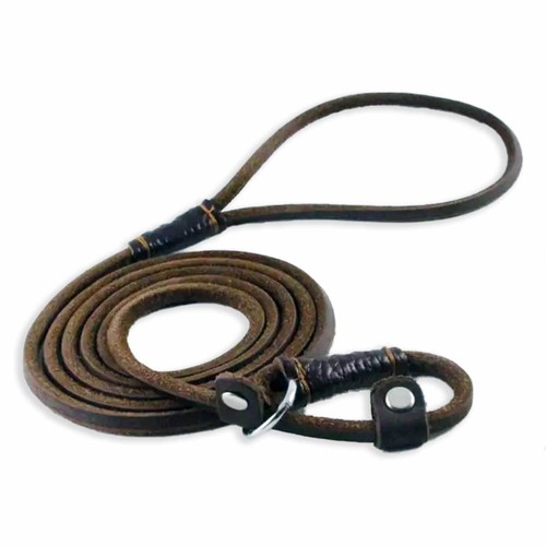 Retrieverleine leder - retrieverleine,