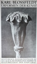 Karl Blossfeldt -