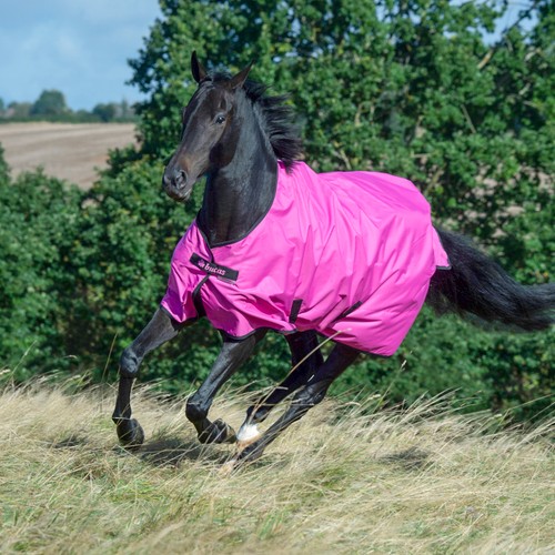 Bucas freedom turnout light - bucas,