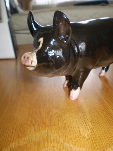 Beswick berkshire wildschwein - berkshire,