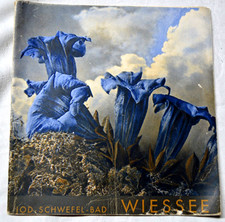 Jod und schwefelbad wiessee - jod-,
