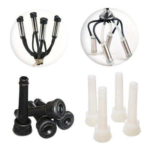 Stück zitzengummis - stück,