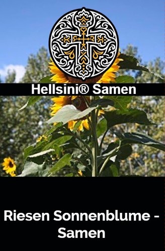 Riesen sonnenblume helianthus - riesen-sonnenblume,
