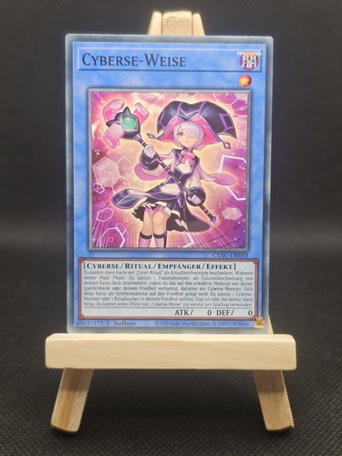 Cyberse weise cyac - cyberse-weise, cyac-de033