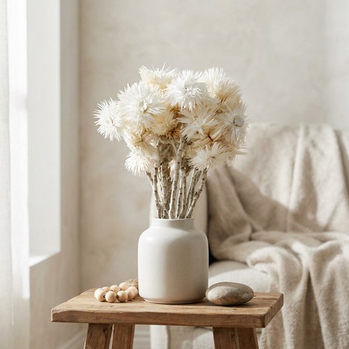 Trockenblumen capblumen - trockenblumen,